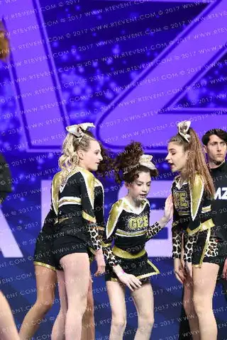 GOLDEN CATS ELITE STORM CATS
