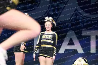 GOLDEN CATS ELITE