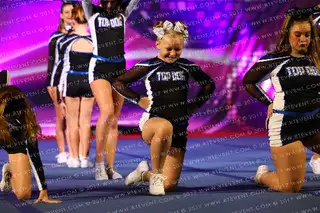 Florida Top Dog All Stars Teal Lakewood Ranch