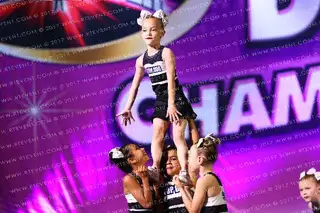 Florida Top Dog All Stars Tiny Topaz