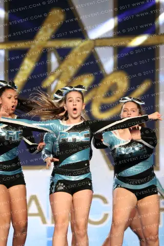 Panthers Untamed