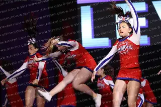 Somerset Sharkettes
