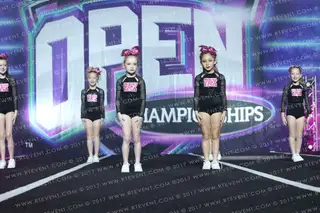 Power Athletix Power Puffs