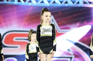 Sonic Elite All Stars GOLDEN NUGGETS
