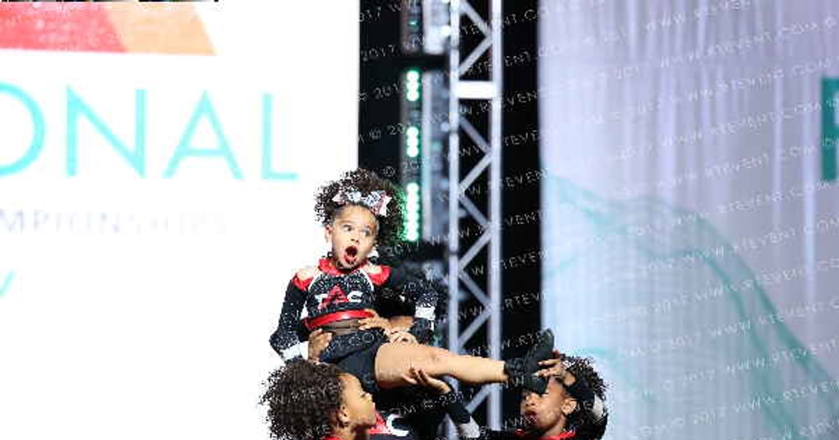 Totally Awesome Cheer Mini Majestic · The Southwest Regional Summit DIDII