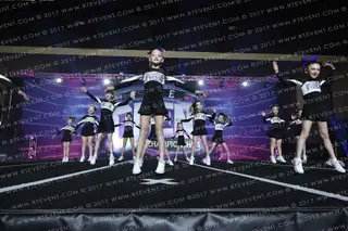 Pride of Arkansas Shimmer