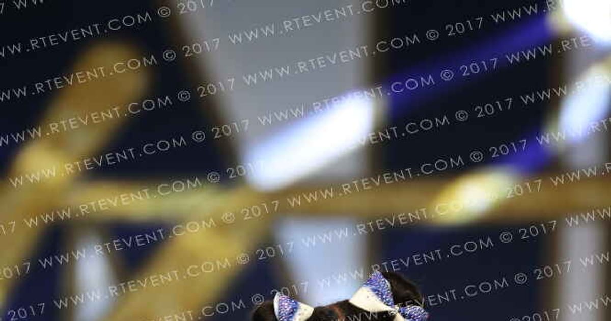 Dynamic Cheer Baby Boom · The One Virginia Beach