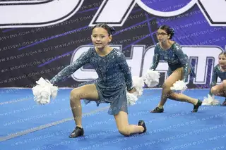 NINERETTES MINI DIVAS