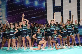 Steele Creek Athletic Association SeaGals Platinum