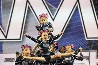 THE CALIFORNIA ALLSTARS PINK