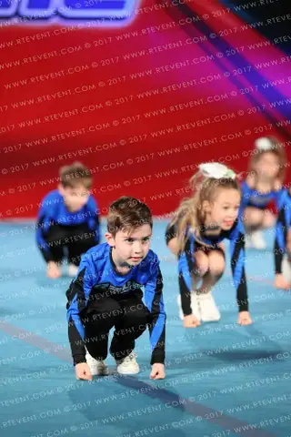 The Stingray Allstars Twinkle