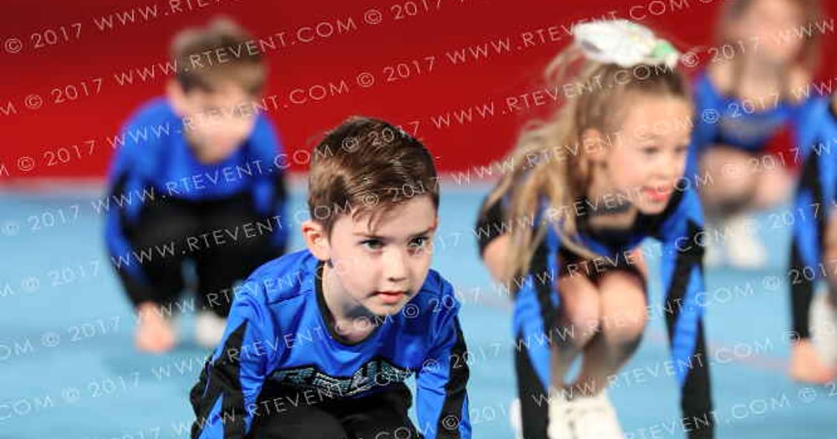 The Stingray Allstars Twinkle · The SHOWCASE
