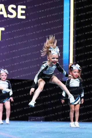 Showcase Spirit Guppie Sharks