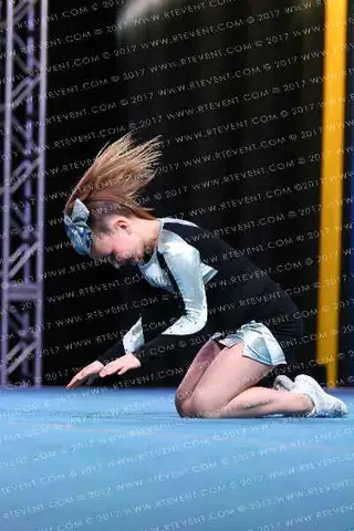 Showcase Spirit Pup sharks