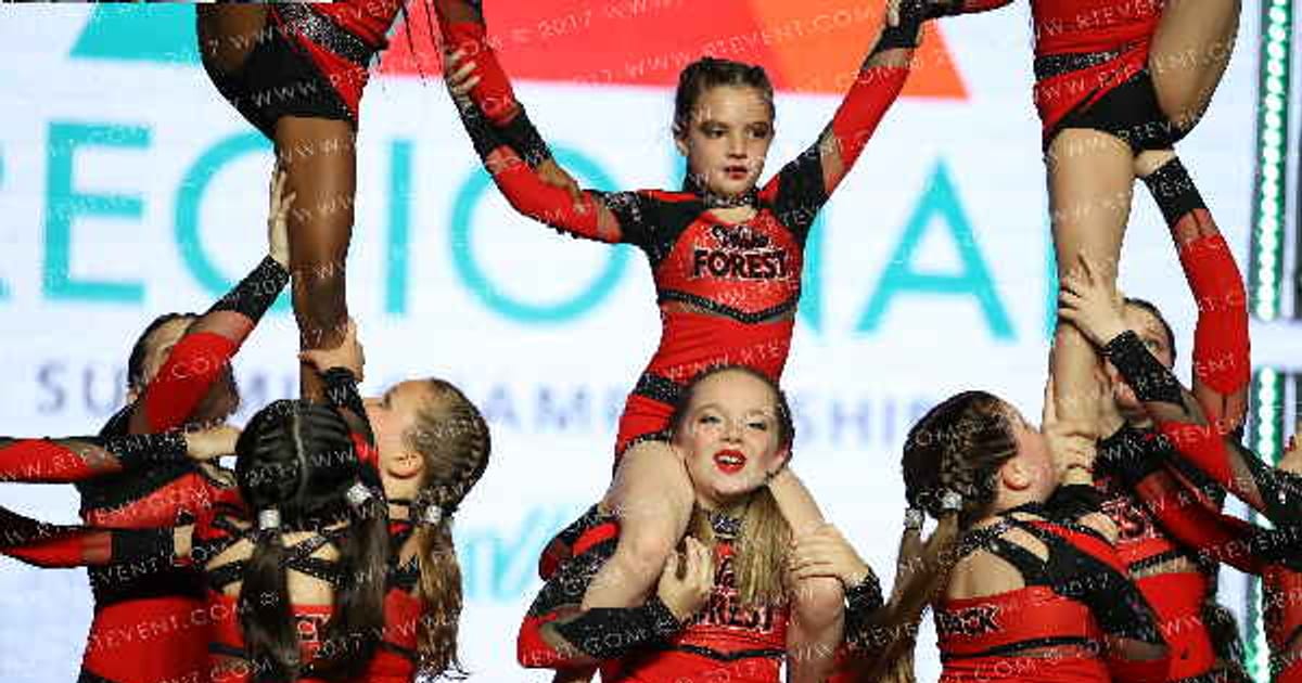 Wake Forest All Stars Wolf Pups · The Southeast Regional Summit