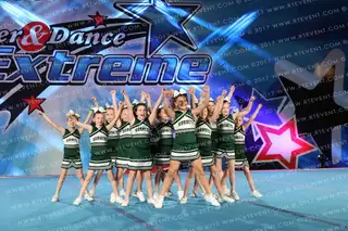 Severna Park Green Hornets Honeybees