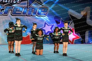 Dynasty Elite Mischief Minis