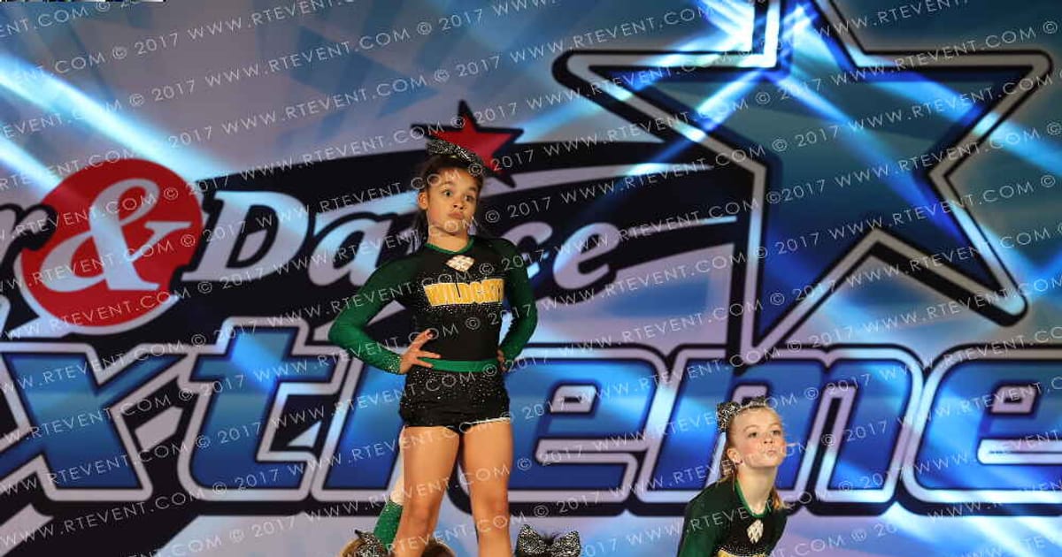 Westminster Wildcats Youth 2 · The Masters