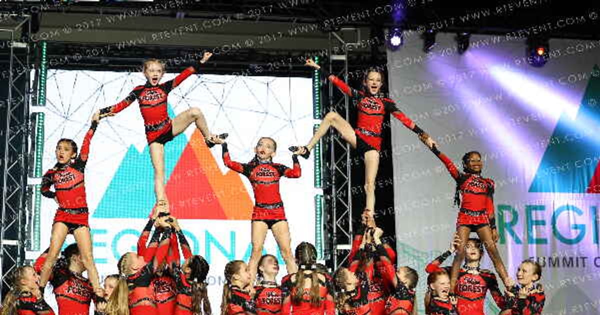 Wake Forest All Stars Red Wolves · The Southeast Regional Summit
