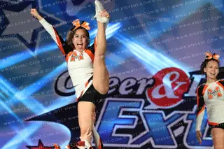 MVAA PHOENIX