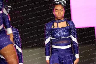 chi-town cats Fierce Cats
