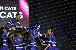 chi-town cats Elite Cats
