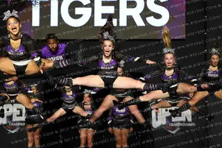 Rush Allstars Tigers