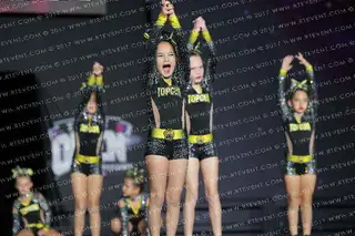 Top Gun All Stars - 239 Pellets