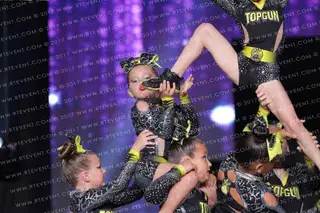 Top Gun All Stars - 239 Pellets