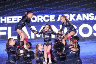 Flamingos Cheer Force Arkansas
