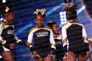 Warner Robins Raiders Raiderettes 8U