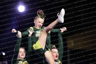 YAA Yulee Swarm
