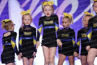 Extreme Allstars KY Golden Tinies
