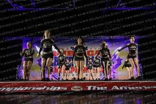 Sonic Elite All Stars LADY GOLD