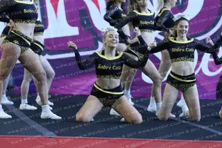 Sheffield Sabrecats Silver