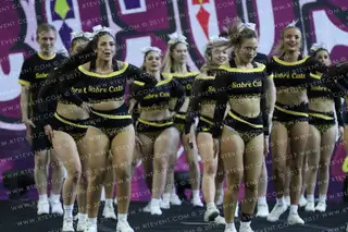 Sheffield Sabrecats Gold
