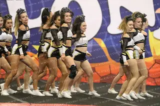 Golden all stars Barcelona JungleCats