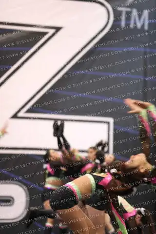 DIVERSITY ELITE FLAME