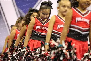 MODESTO FALCONS