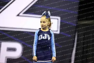 OAKMONT JR VIKINGS 8U