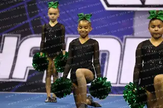 NINERETTES GLITTERETTES