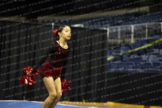 NINERETTES MINI DIVAS