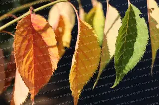 Test Program 7 Test Team 7