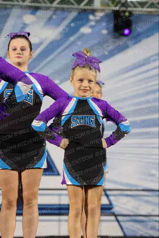 Sting Hornets