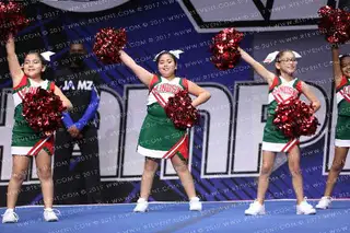 LINDSAY CARDINALS