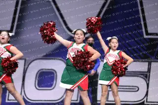 LINDSAY CARDINALS