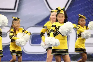 COBRA CHEER PEEWEES