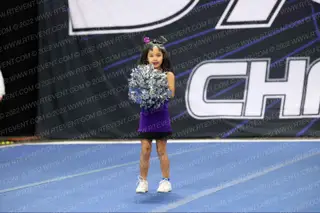 WYC MIGHTY MITES