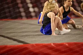 Gold Medal Gems Rubies