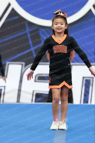 ROSEVILLE JR TIGERS JRPEEWEE